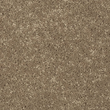 Desert Star