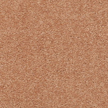 Nutmeg Frost