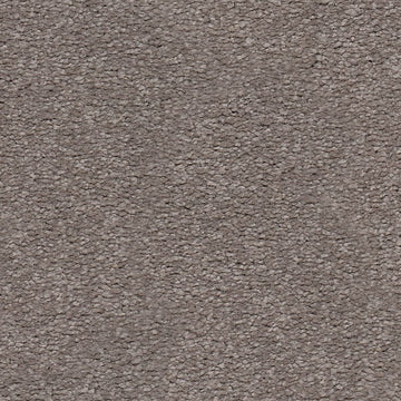 Rich Taupe