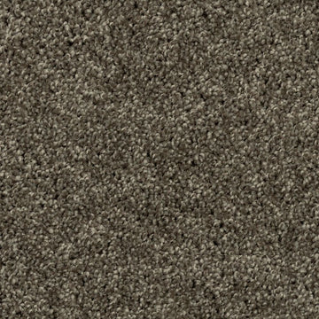 Meteorite