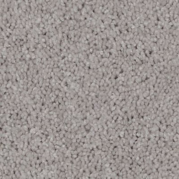 Frosted Glass