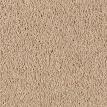 Maple Tint