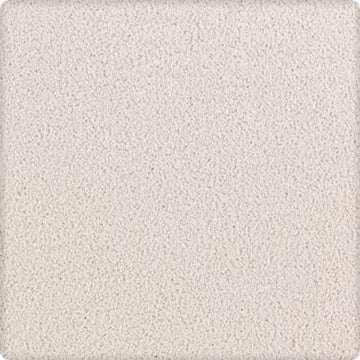 Designer White
