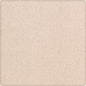 Silk Canvas
