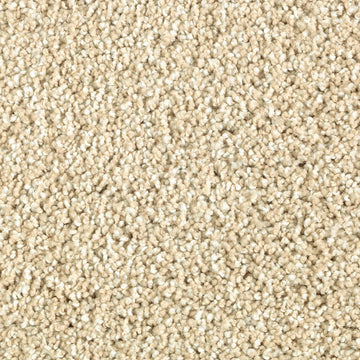 Parchment