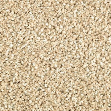 Beach Pebble
