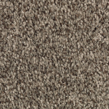 Black Walnut
