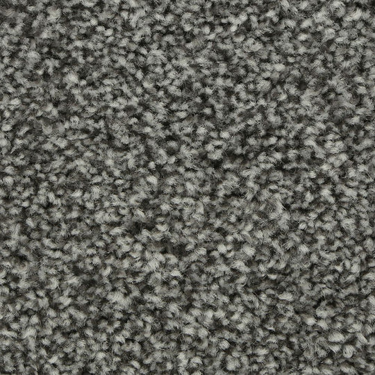 Polished Shades I