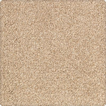 Parchment