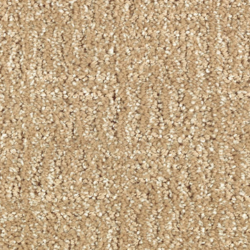 Brushed Suede