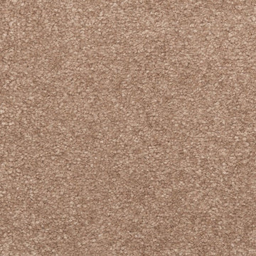 Desert Mud