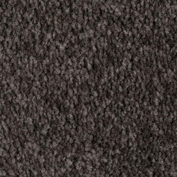 Meteorite