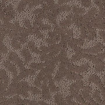 Suede Safari