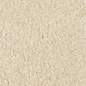 Salutation
