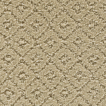 Lamb's Wool