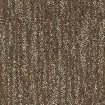 Nutmeg