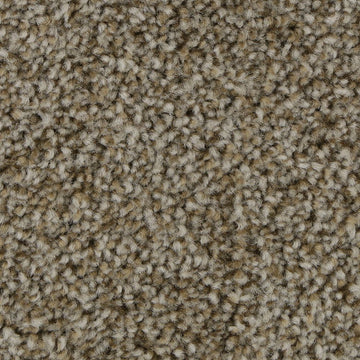 Hickory Tan