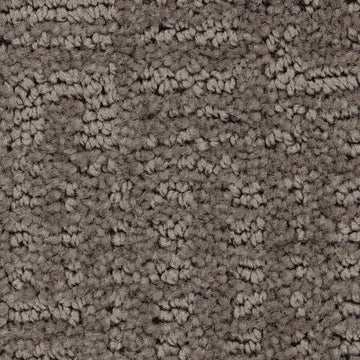 Backdrop