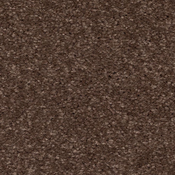 Chocolate Chip