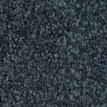 Peacock Feather