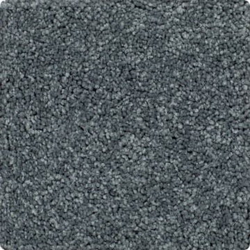 Spruce Tint