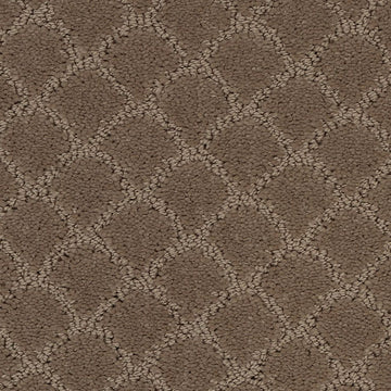 Raw Umber