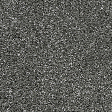 Alden Charcoal