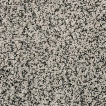 Roma Haze