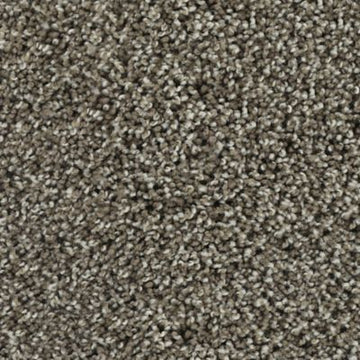 Taupe Shadow