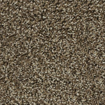 Mesquite Chip