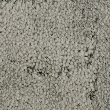 Bird Bath