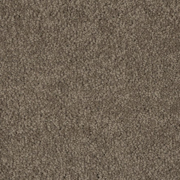 Porpoise