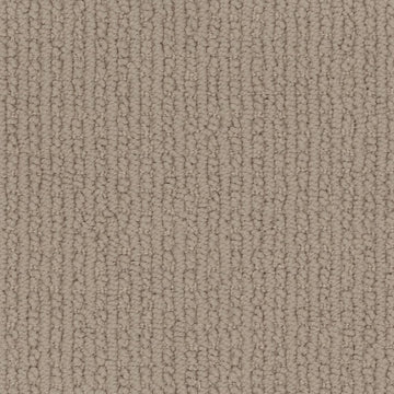 Contempo