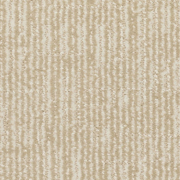 Silk Canvas
