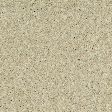 White Dove