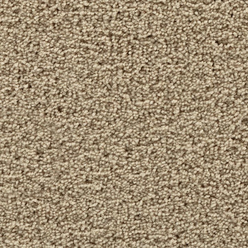 Saloon