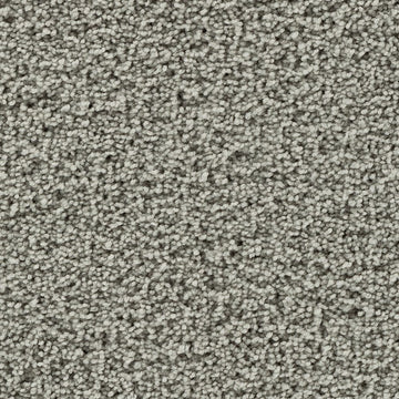 Clam Island