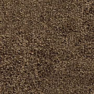 Brushwood