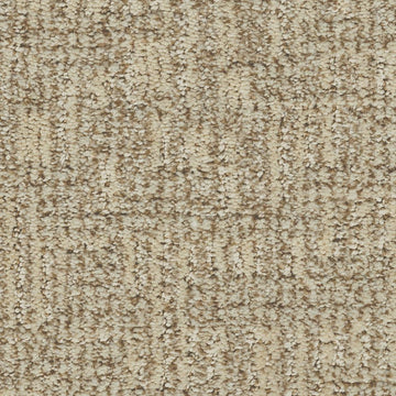 Desert Sand