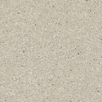 Seagull
