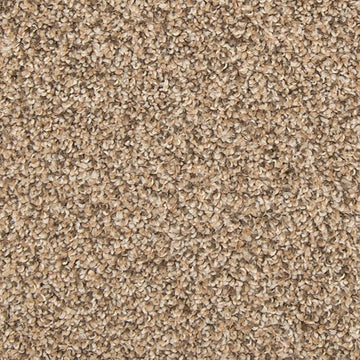 Flax Seed