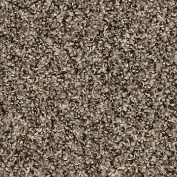 Shimmer Ash