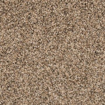 Flax Seed