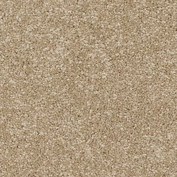 Muted Caramel