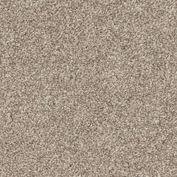 Dusky Willow