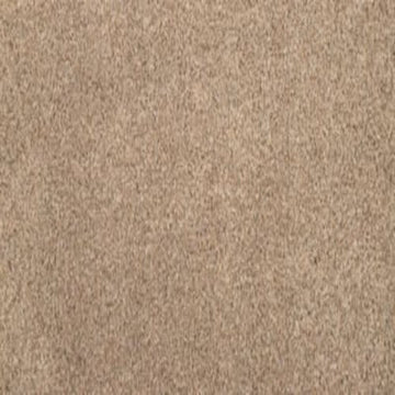Ashen Taupe