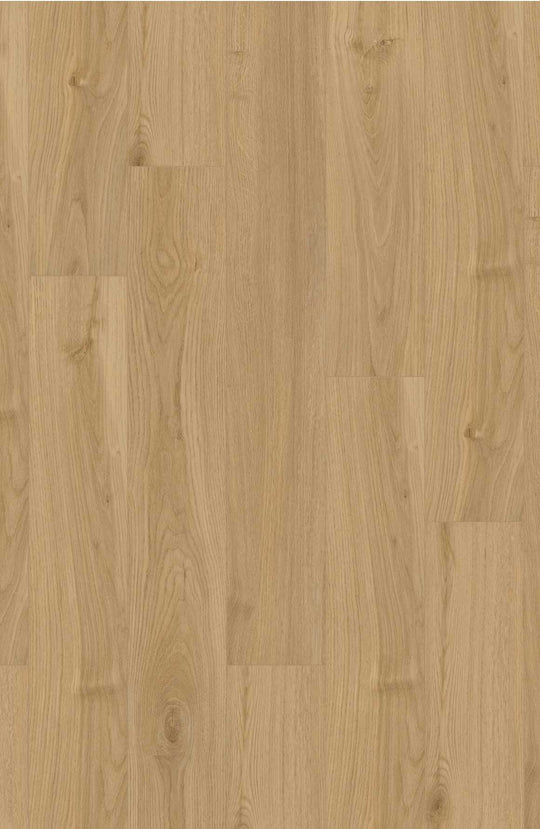Oxford Oak