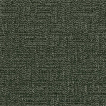 Pine Needle