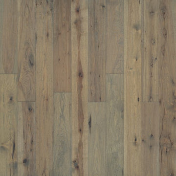 Sandbar Hickory