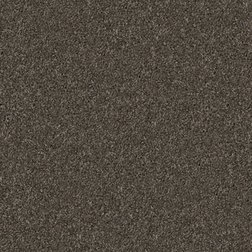Schnauzer
